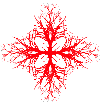 dried-tree-seal-red